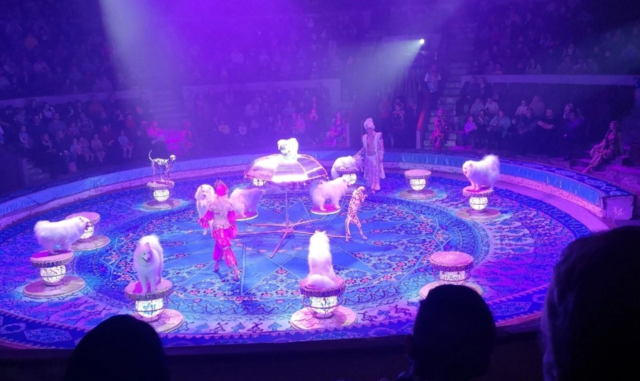 "Песчаная сказка" "Песчаная сказка"