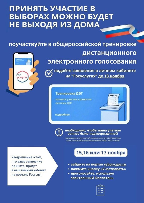 Принять участие в выборах можно будет не выходя из дома