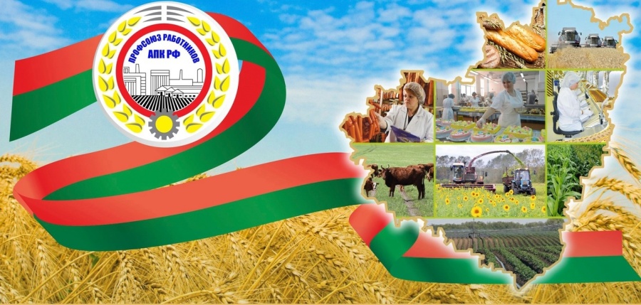 Поддержим наших коллег! Поддержим наших коллег!