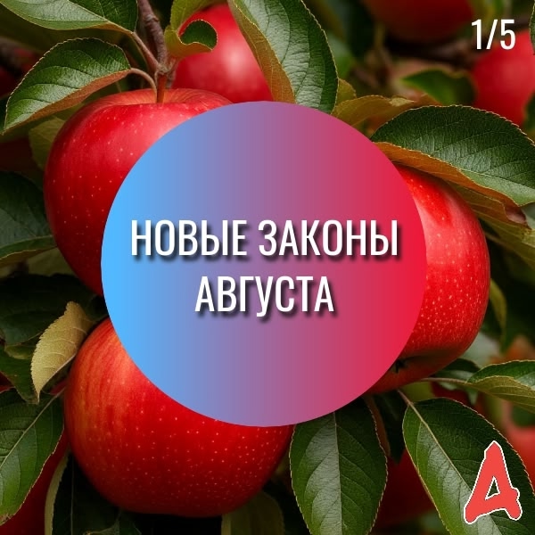 Новые законы августа