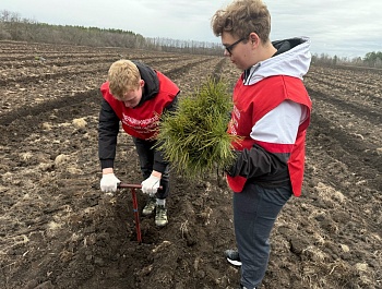 Сад Памяти – дань подвигу Защитников Отечества