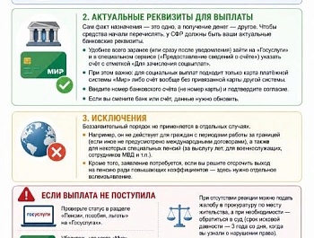 Беззаявительное назначение пенсии: что это и как работает?