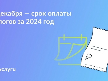 Не забудьте про налоги за 2024 год