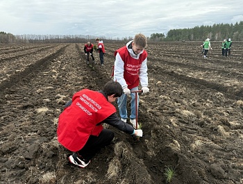 Сад Памяти – дань подвигу Защитников Отечества