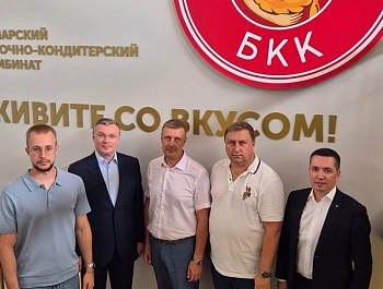 Достояние Губернии