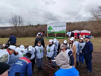 Сад Памяти – дань подвигу Защитников Отечества