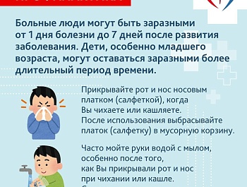 Памятки по профилактике гриппа, COVID-19 и других вирусных инфекций